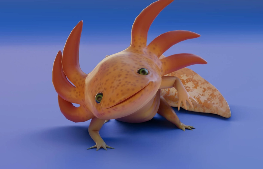 axolotl color morphs