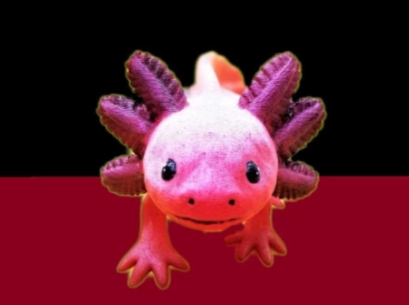 axolotl water parameters