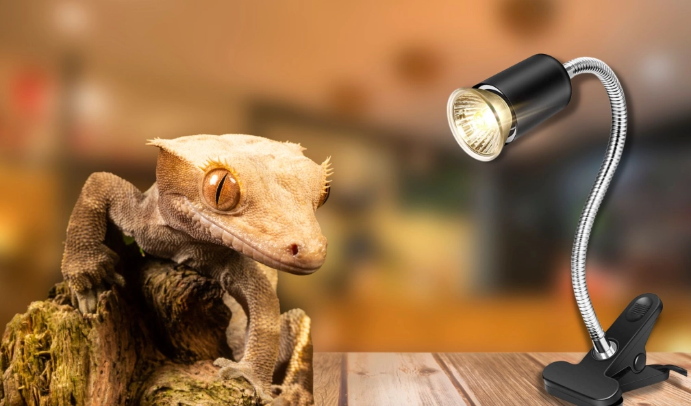 leopard gecko temperature requirements