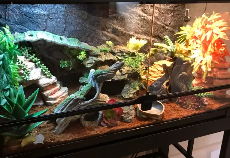 leopard gecko temperature