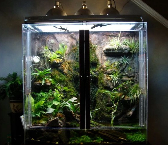 reptile habitat setup reptile habitat setup