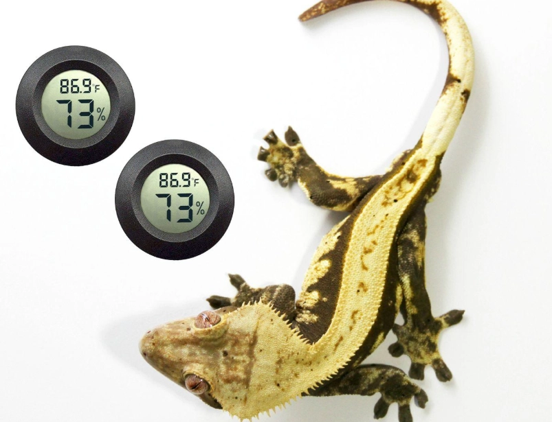 crested gecko temperature range crested gecko temperature range