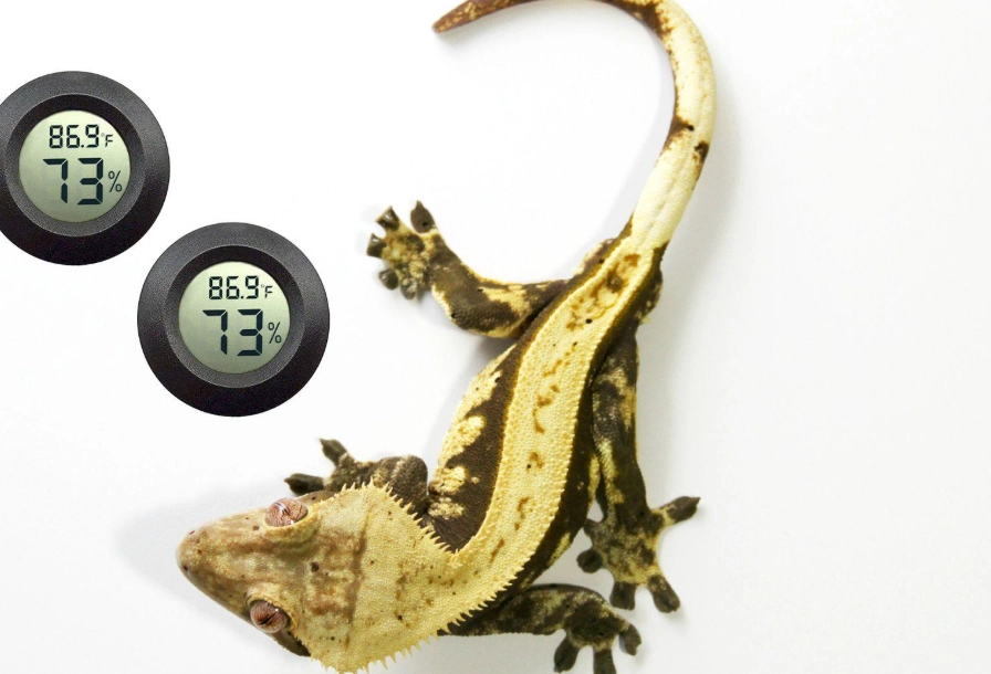 crested gecko humidity